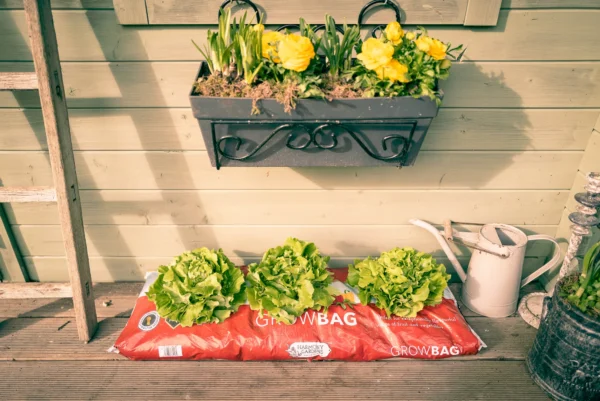 HortGrow SmartEra™ Grow Bags – HortGrow Solutions