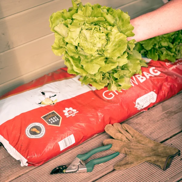 HortGrow SmartEra™ Grow Bags – HortGrow Solutions