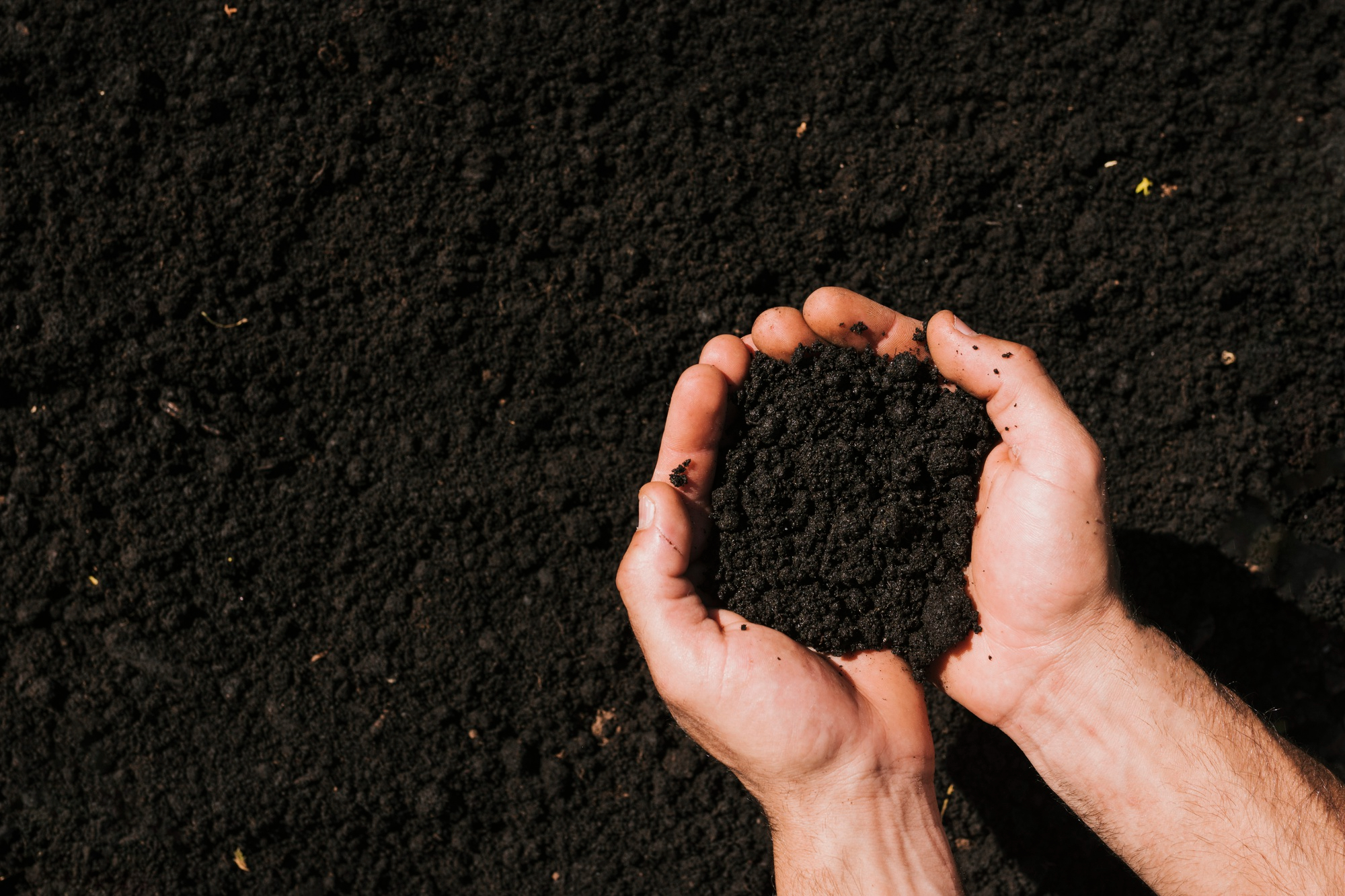 Choosing the Right Compost for Your Needs