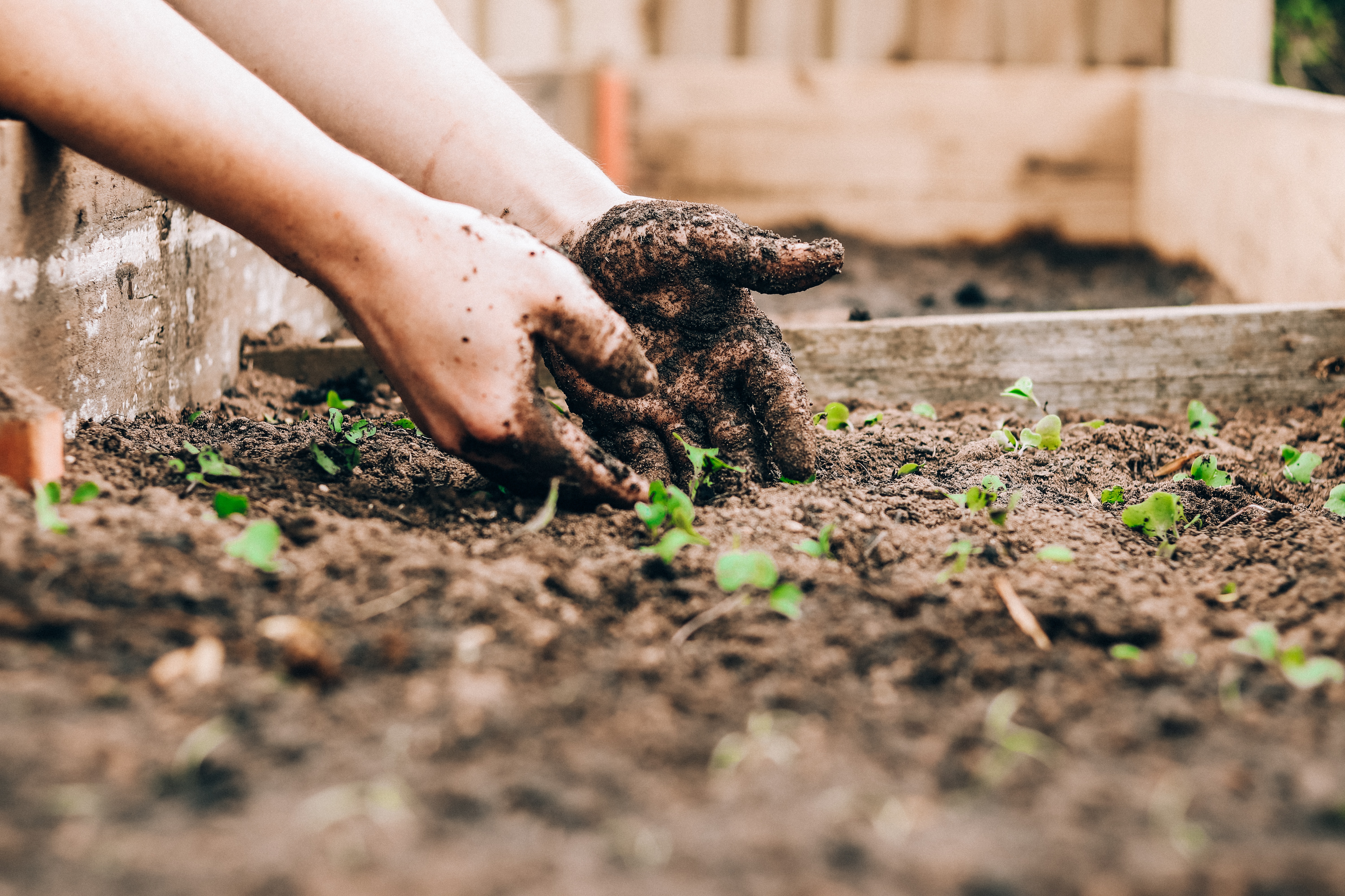 The Science of Soil and How Multipurpose Compost Can Enhance Soil Fertility