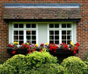 Layering for Impact: Creating Depth and Dimension in Small Garden Spaces