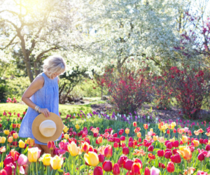 Your July Activity List – Gardener’s Edition