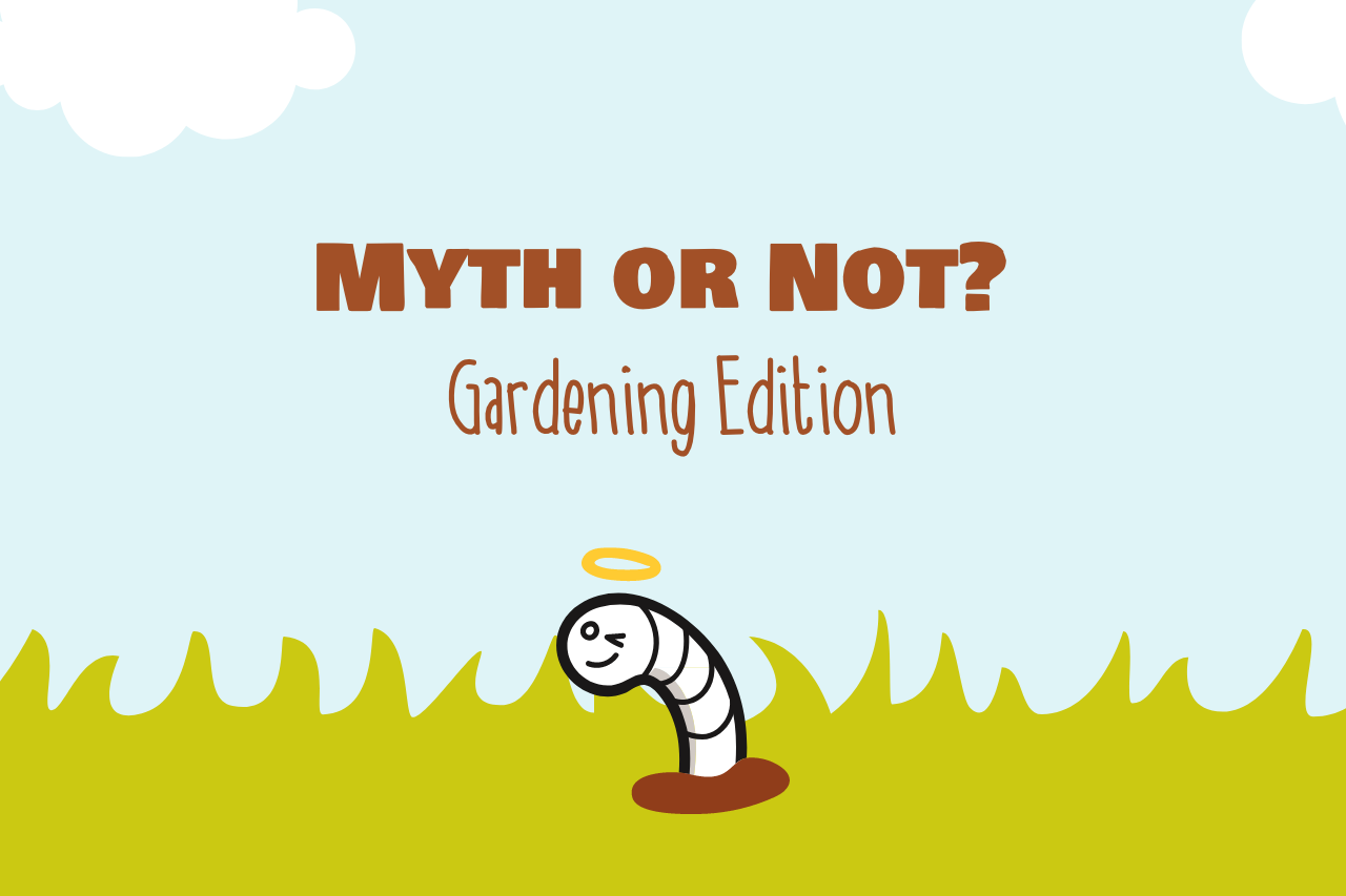 Myth or Not? : Gardening Edition