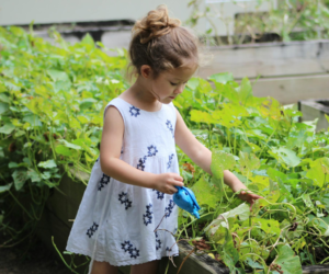 Ways to Get Your Kids Interested in Gardening