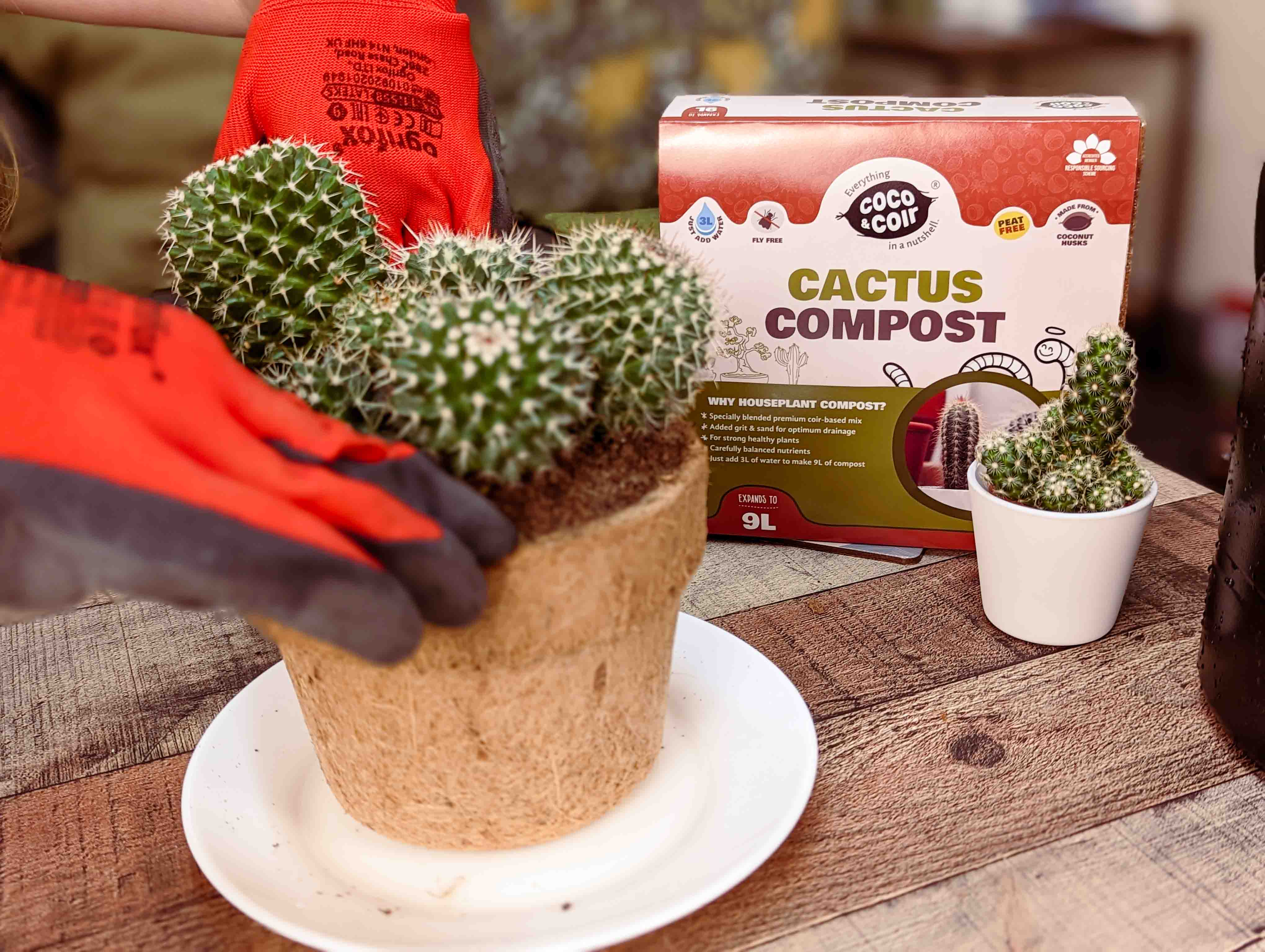 Coco and Coir Cactus Compost