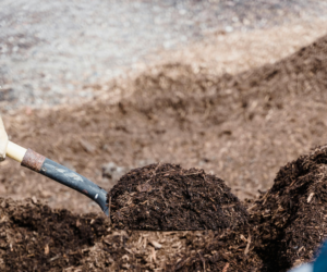 The Transparent Truth About Peat-Free Compost