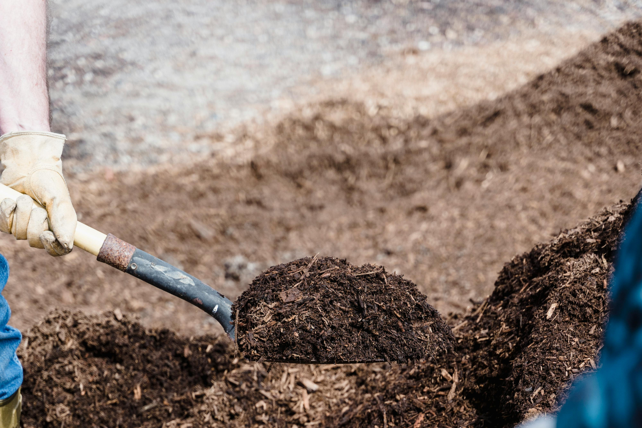 The Transparent Truth About Peat-Free Compost