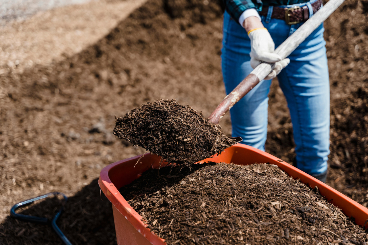 Your Ultimate Guide to The Different Types of Compost