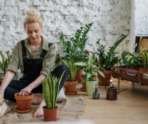 The Lazy Gardener’s Guide to Happy Plants