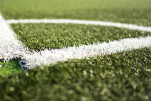 How to Lay A Turf in the UK – A Detailed Questionnaire