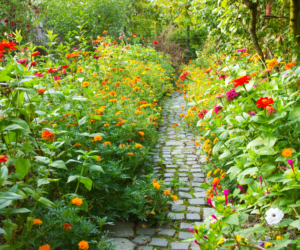 Late Summer Gardening: Essential Practices for a Productive UK Garden