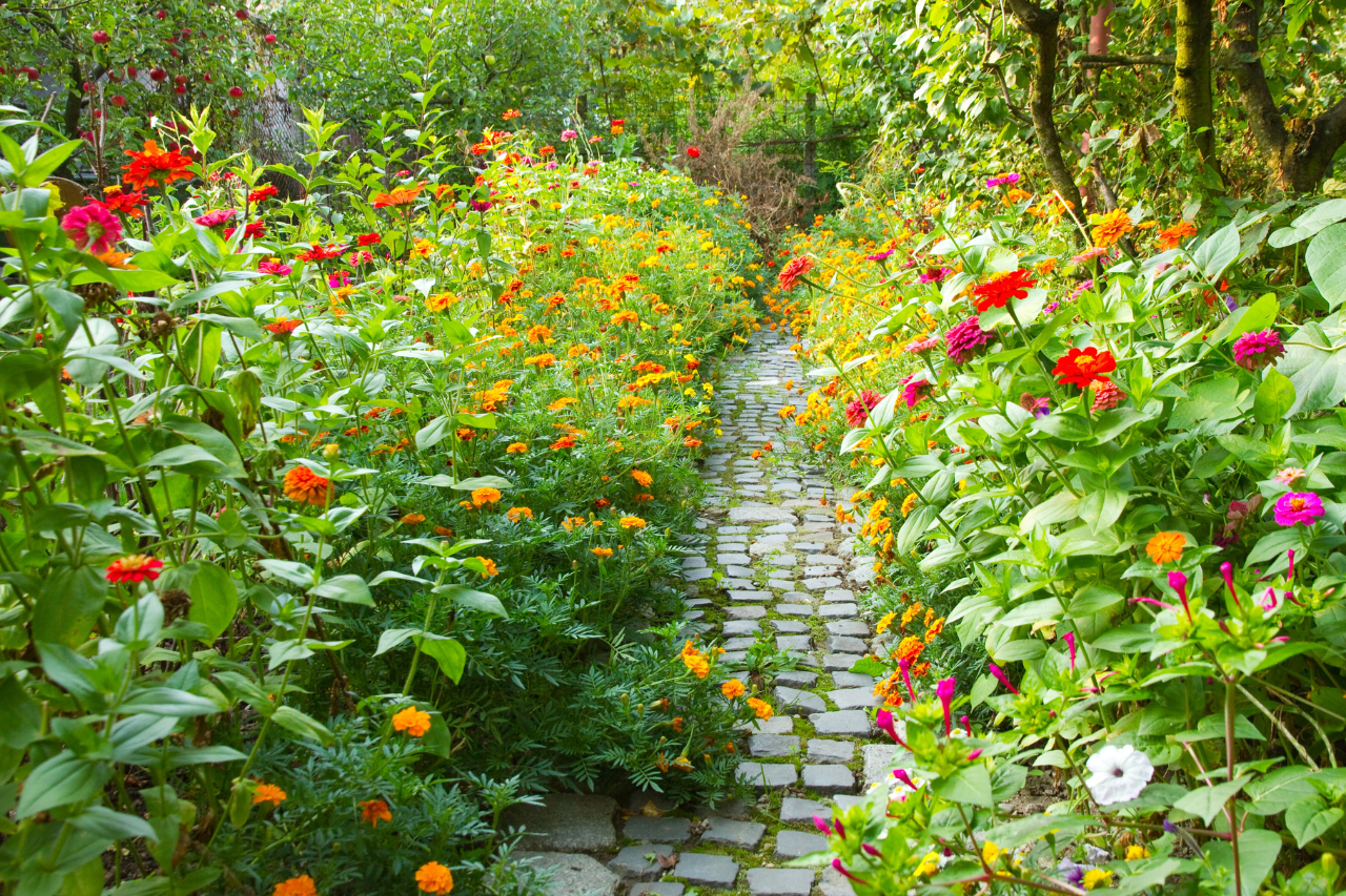 Late Summer Gardening: Essential Practices for a Productive UK Garden